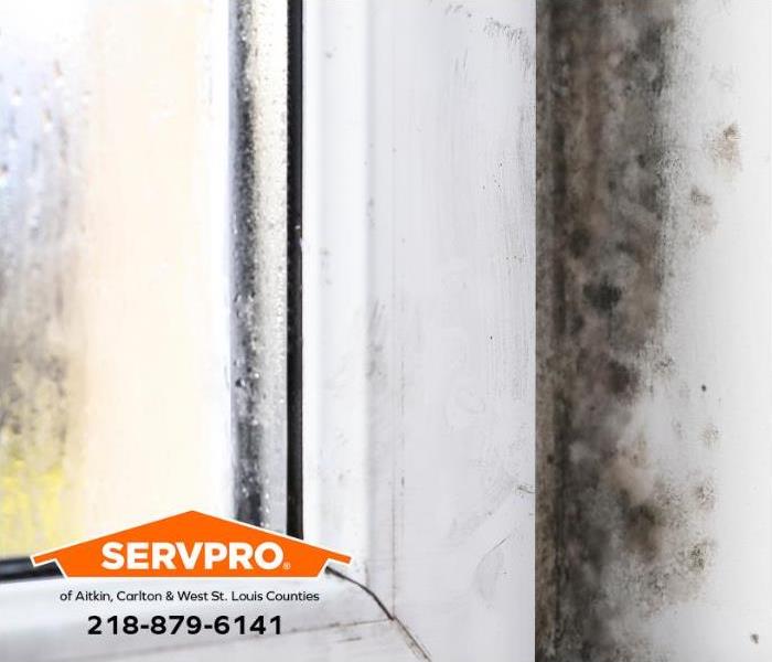 Mold grows around the perimeter of a leaking window inside a home.