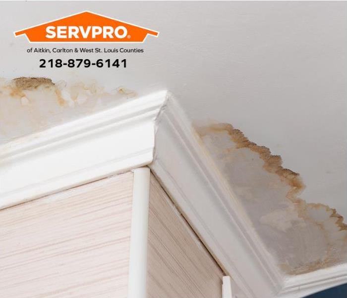 Mold grows along water stains on a ceiling.