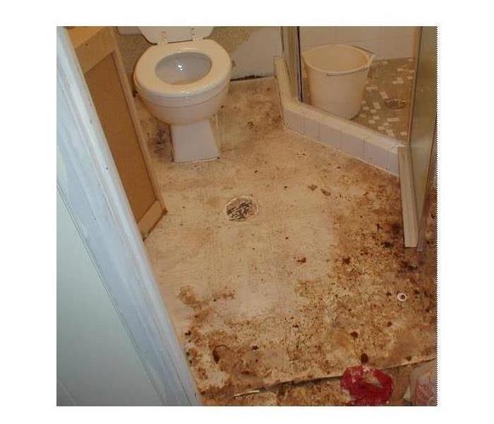 Toilet overflow 