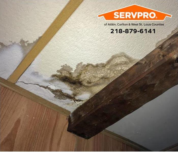 Mold growth and water damage on a ceiling are shown.